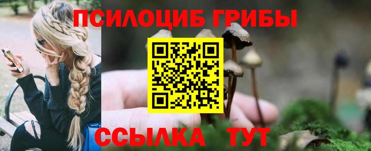 где купить наркоту  Галлюциногенные грибы Psilocybe  Вход с VPN  Учалы 